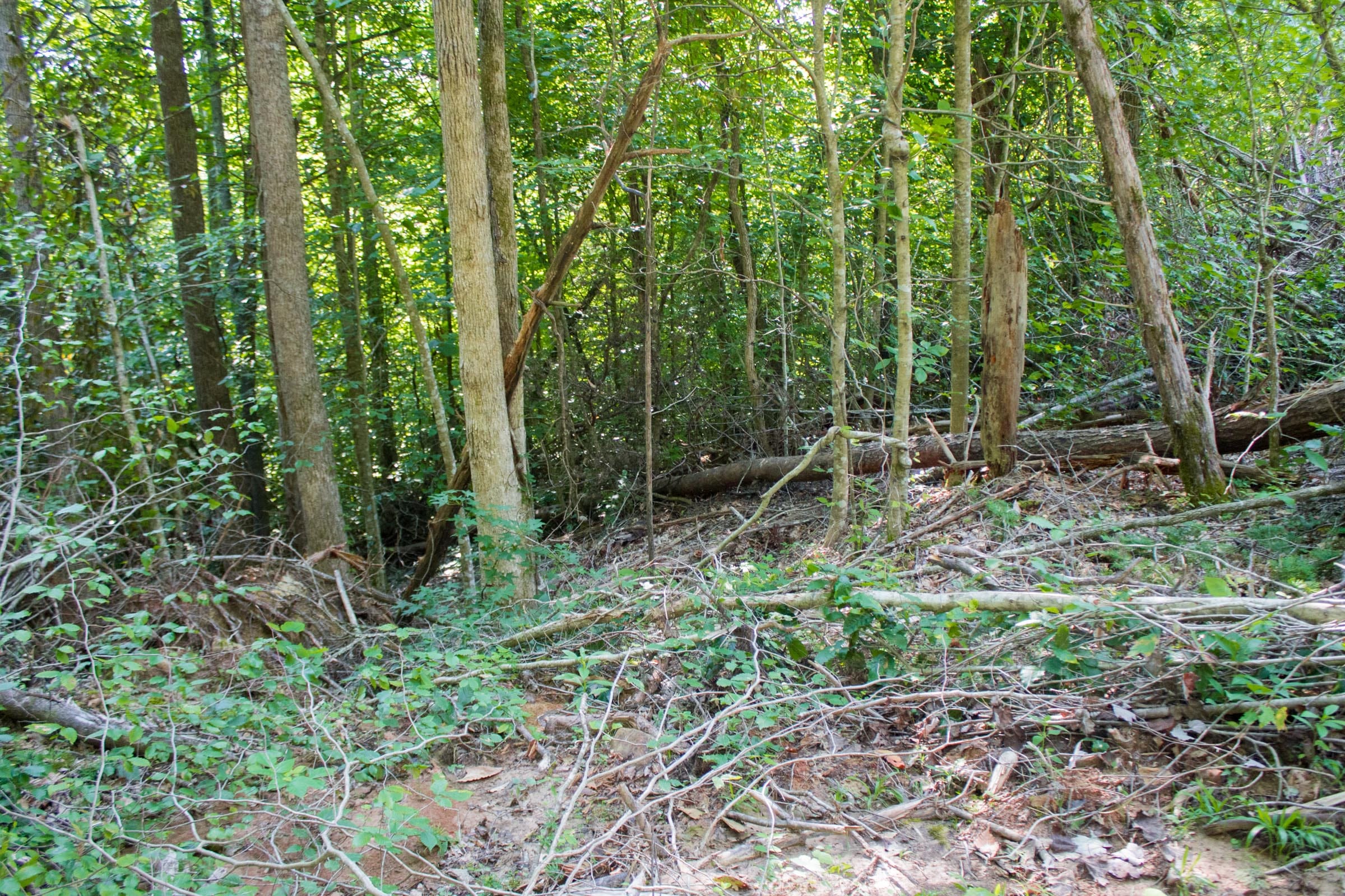 Bluewater Ridge Tract 23 photo 12