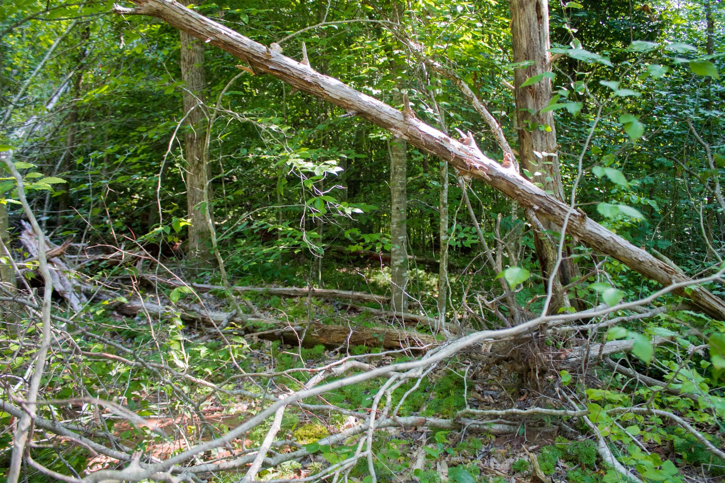 Bluewater Ridge Tract 23 photo 13