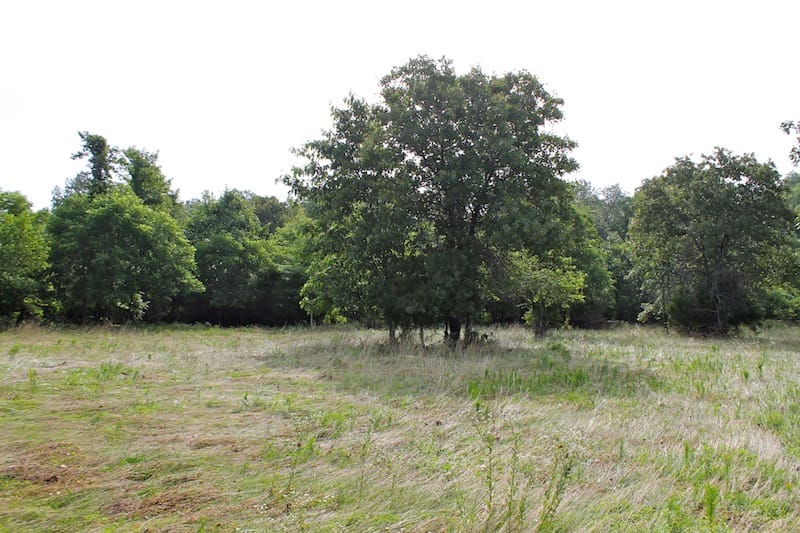 Green Mountain Ranch Tract 12 photo 1