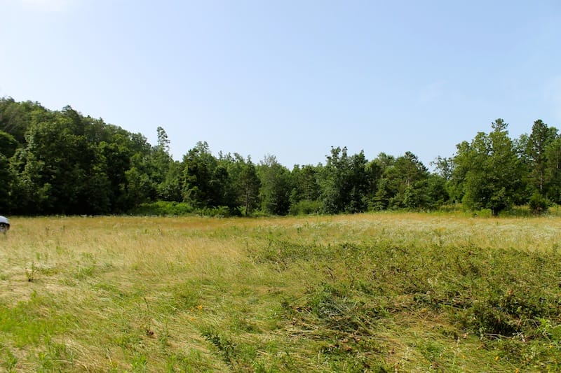Green Mountain Ranch Tract 12 photo 2