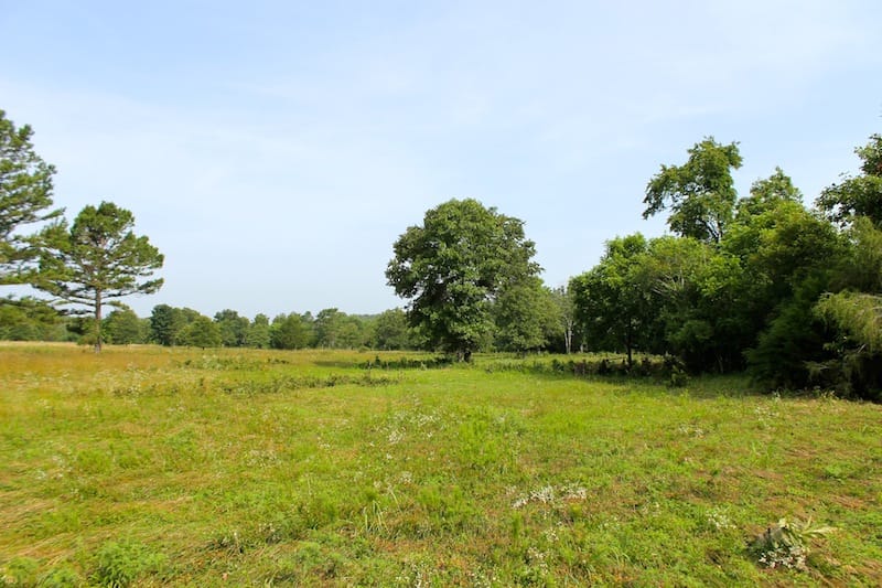 Green Mountain Ranch Tract 12 photo 3