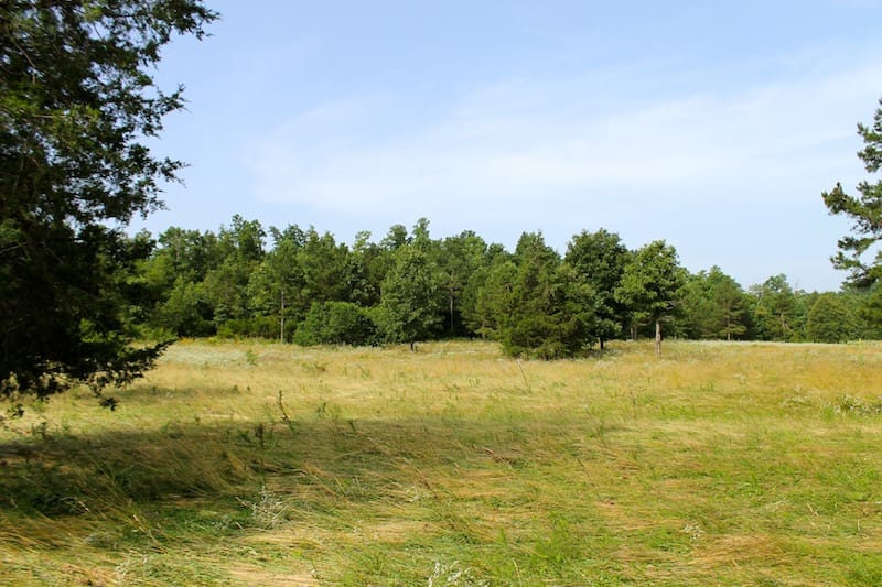 Green Mountain Ranch Tract 12 photo 5