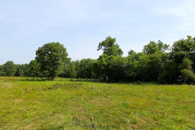 Green Mountain Ranch Tract 12 photo 8