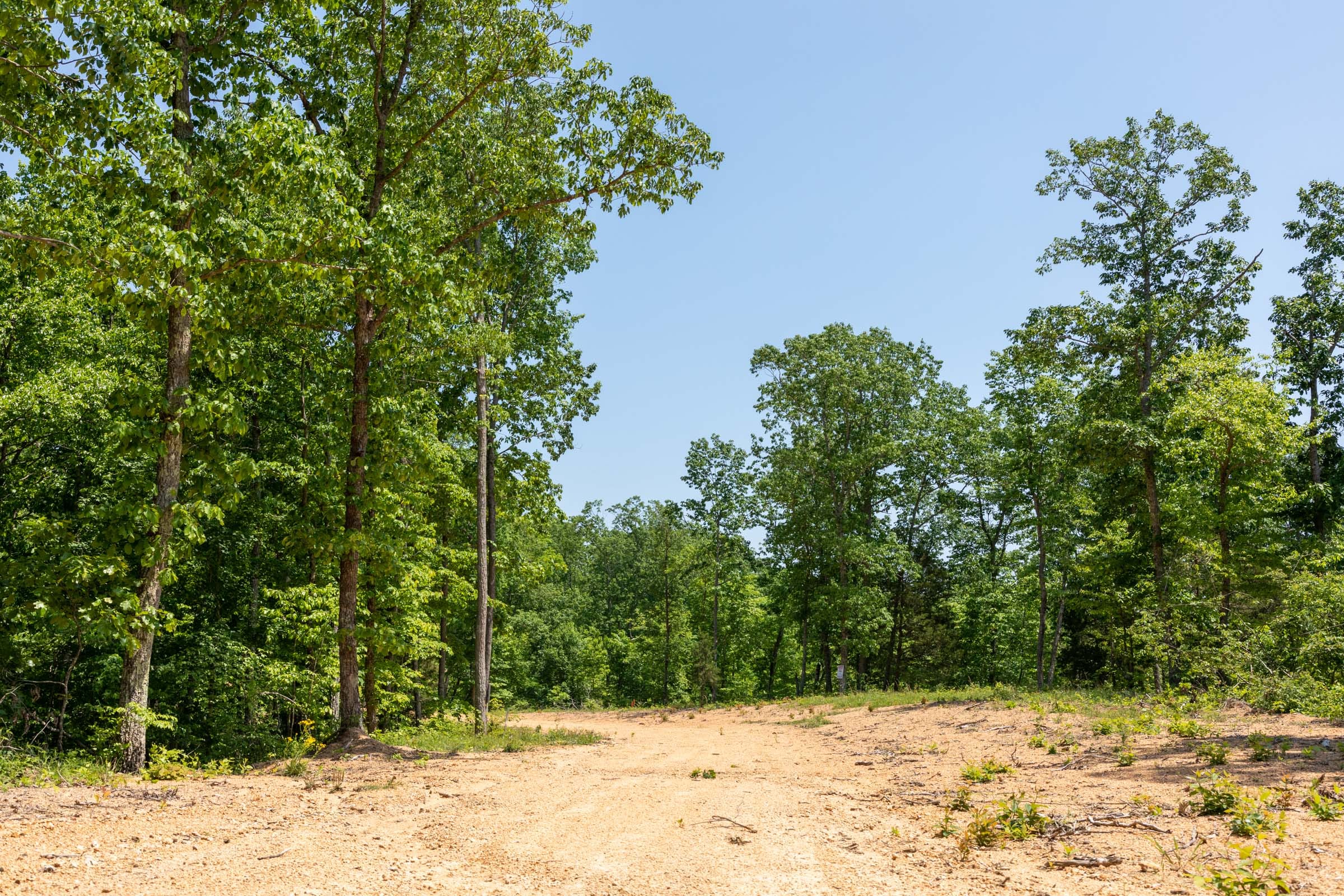 Cedar Creek Tract 66 photo 8