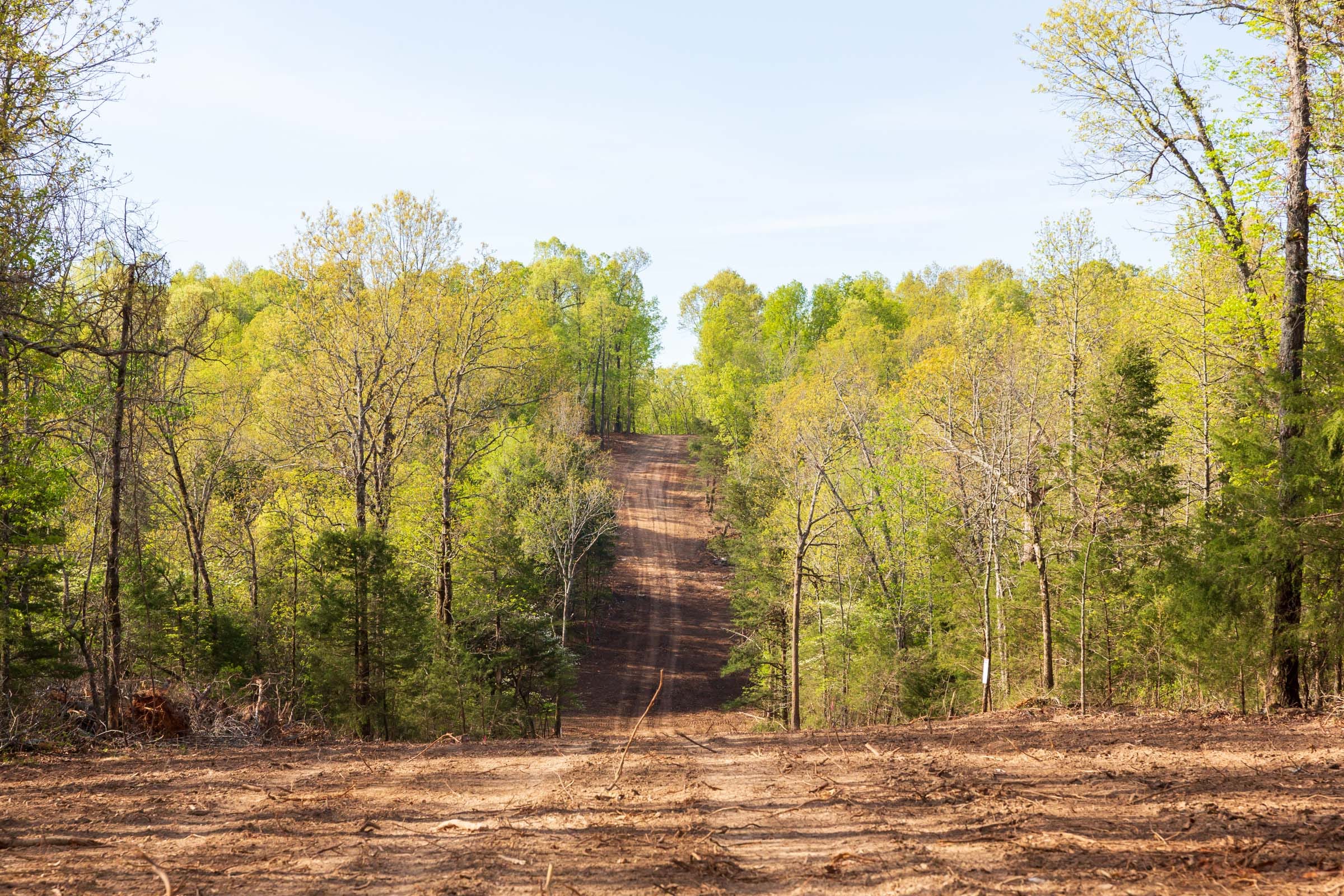 Autumnwood Tract 13 photo 1