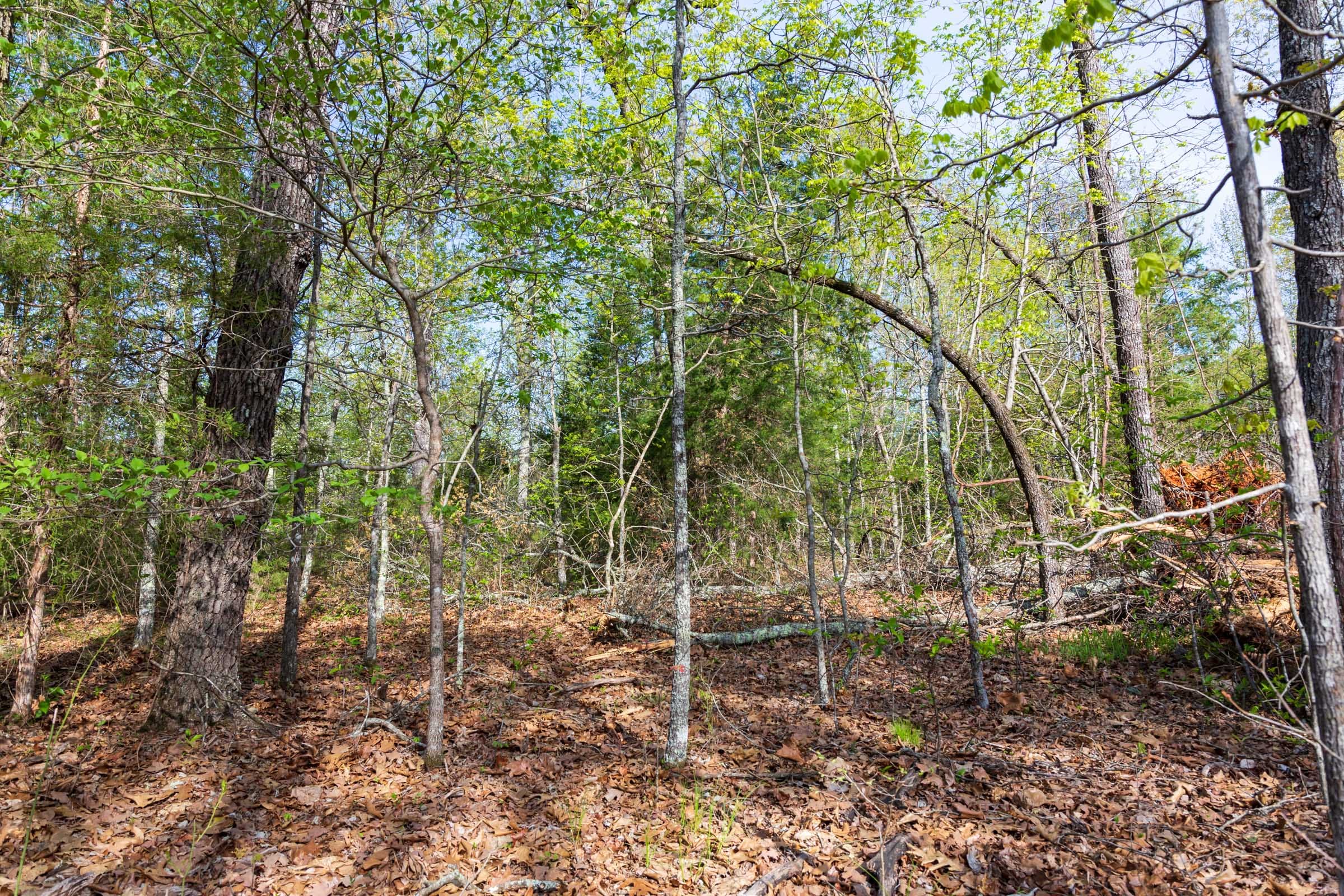Autumnwood Tract 13 photo 3