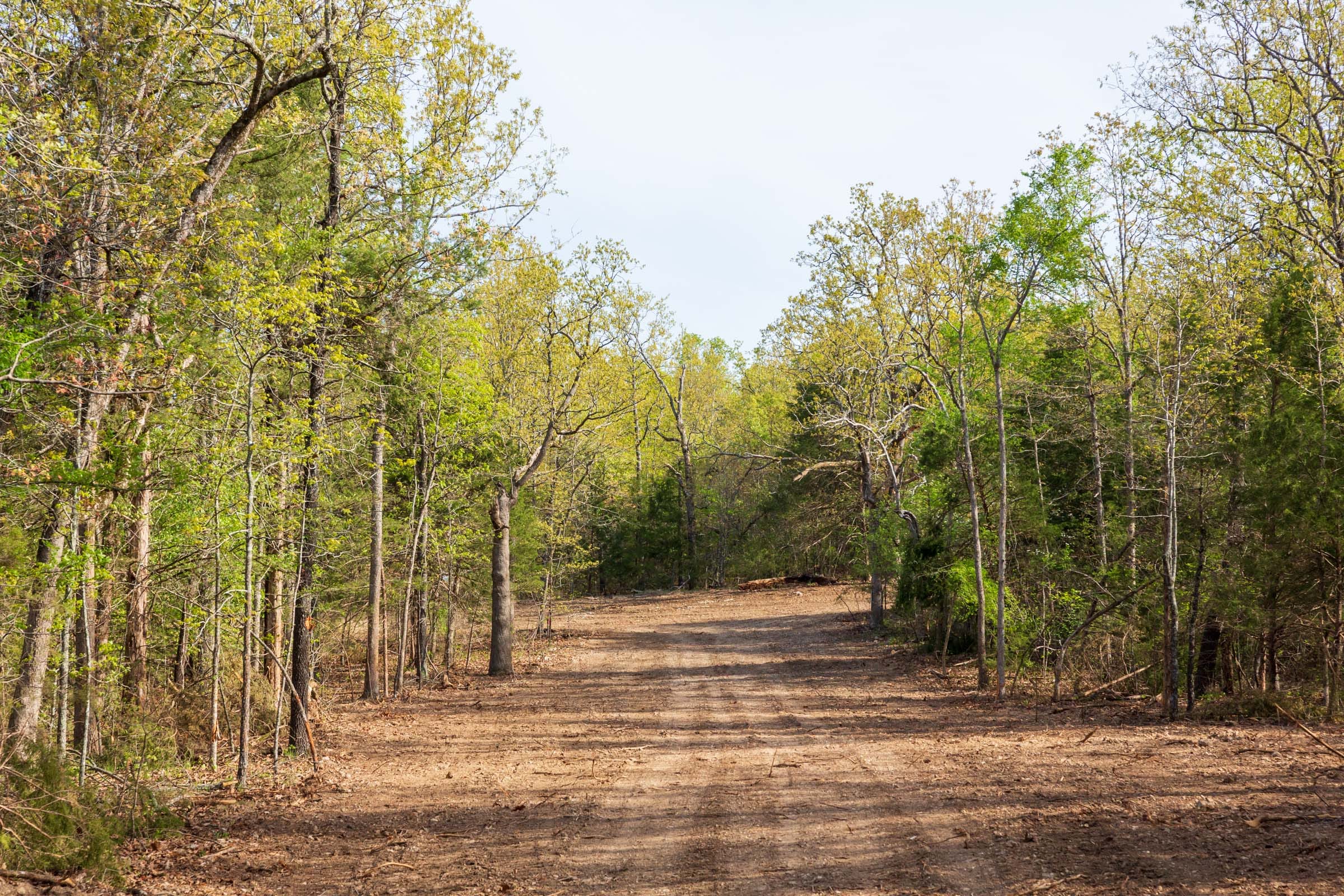 Autumnwood Tract 13 photo 15
