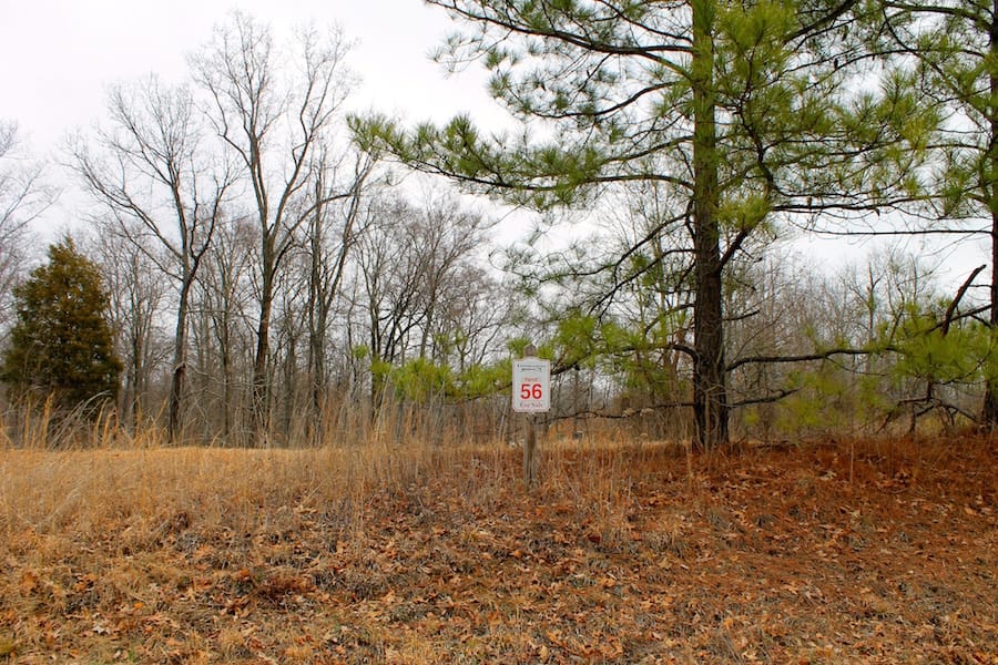 The Tennessean Tract 56 photo 1