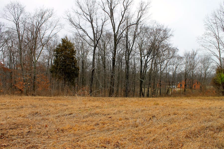The Tennessean Tract 56 photo 4