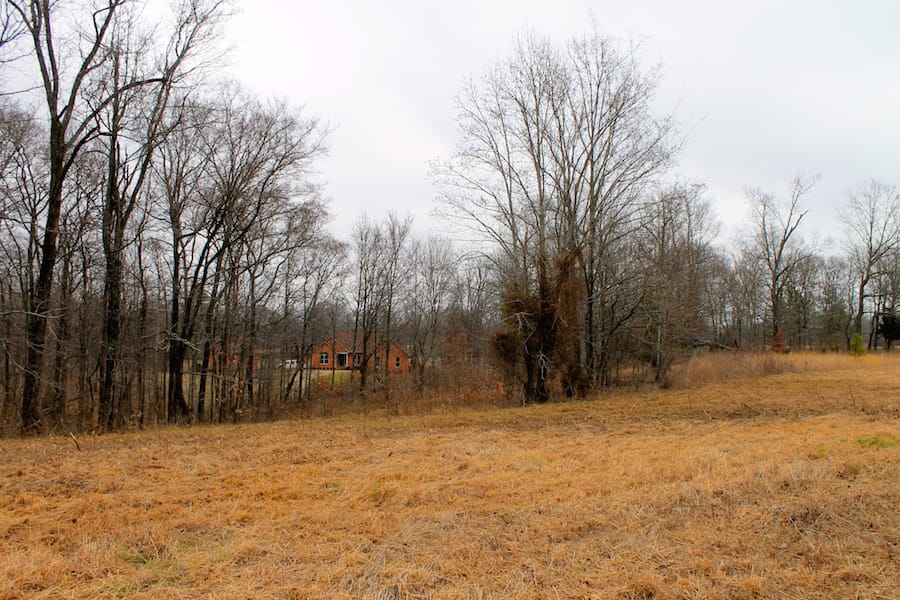 The Tennessean Tract 56 photo 6
