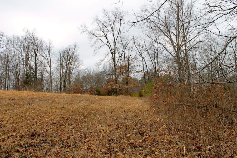 The Tennessean Tract 56 photo 7