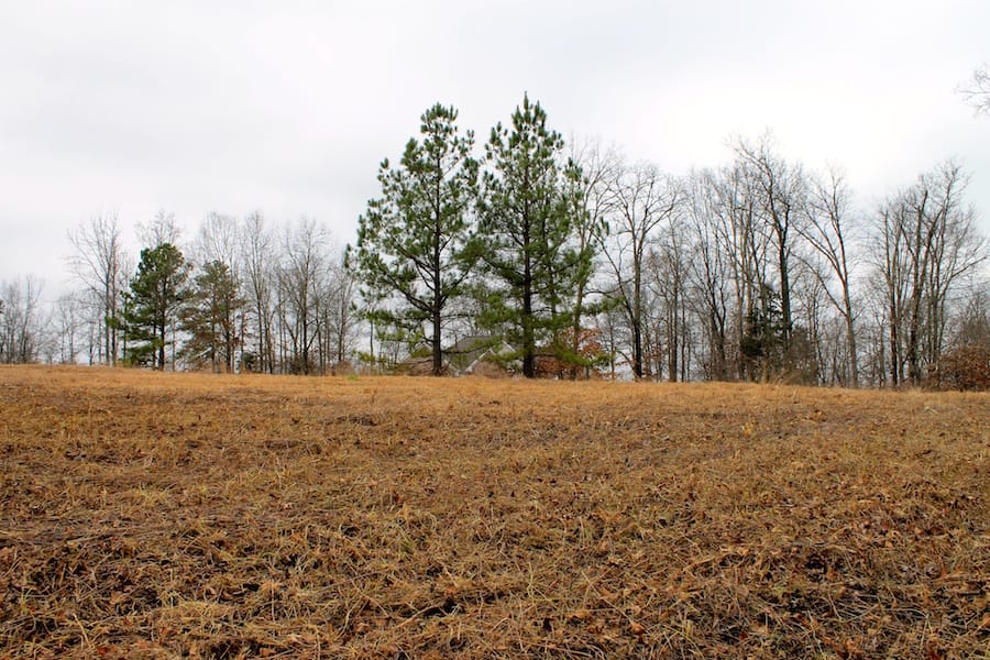 The Tennessean Tract 56 photo 8