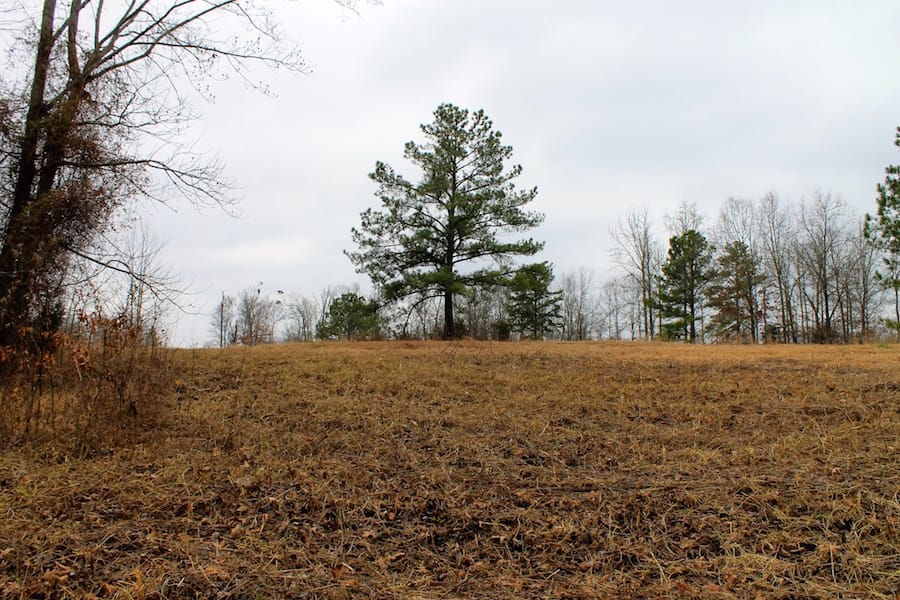 The Tennessean Tract 56 photo 9