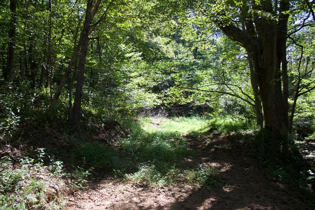 Heritage Hollow Tract 32 photo 2
