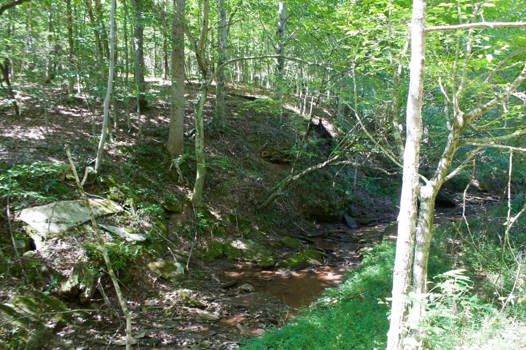 Heritage Hollow Tract 32 photo 4