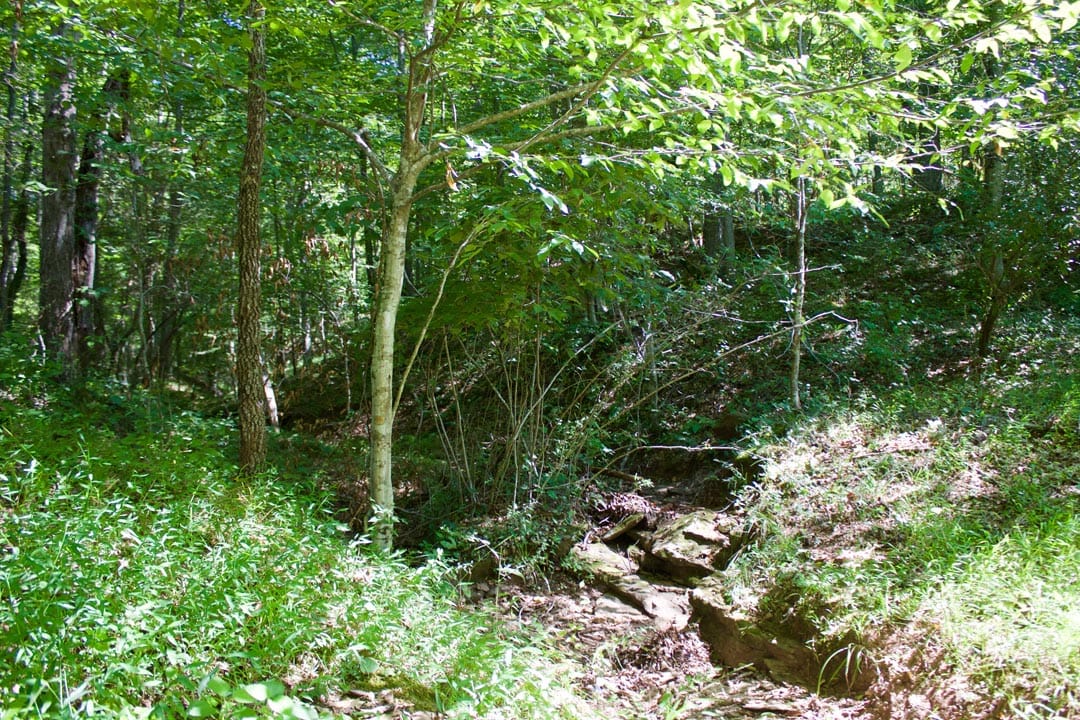 Heritage Hollow Tract 32 photo 7