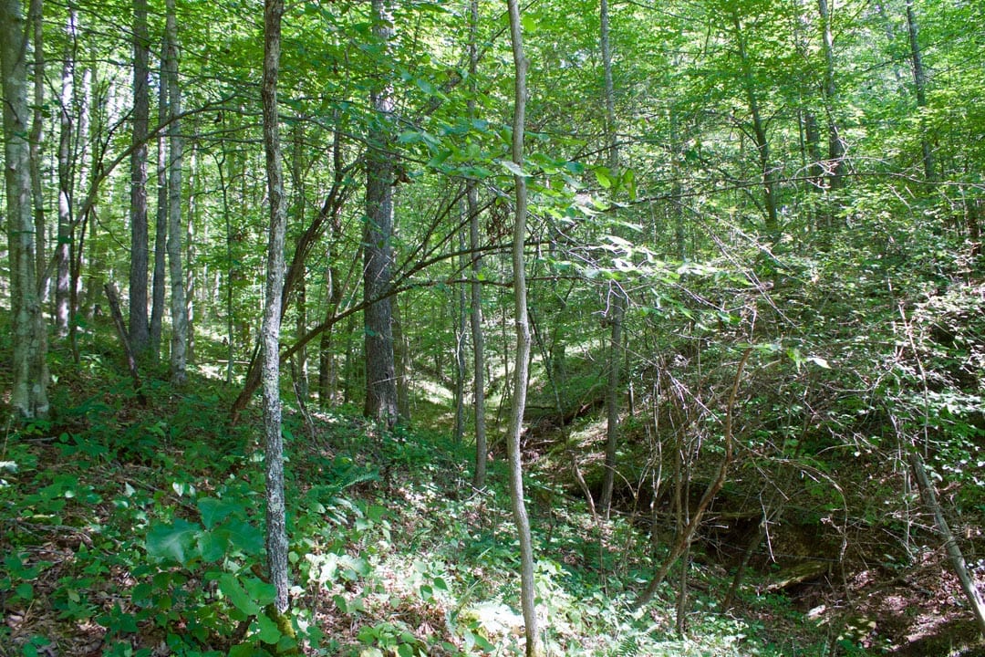 Heritage Hollow Tract 32 photo 9