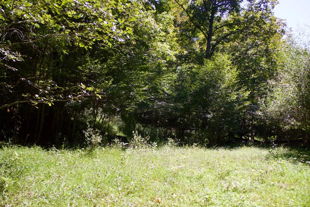 Heritage Hollow Tract 32 photo 10