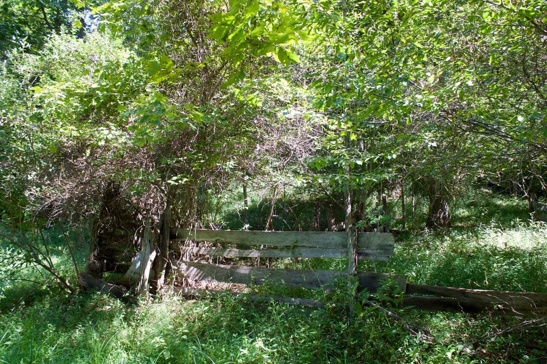 Heritage Hollow Tract 32 photo 11