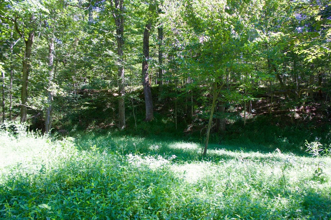 Heritage Hollow Tract 32 photo 12