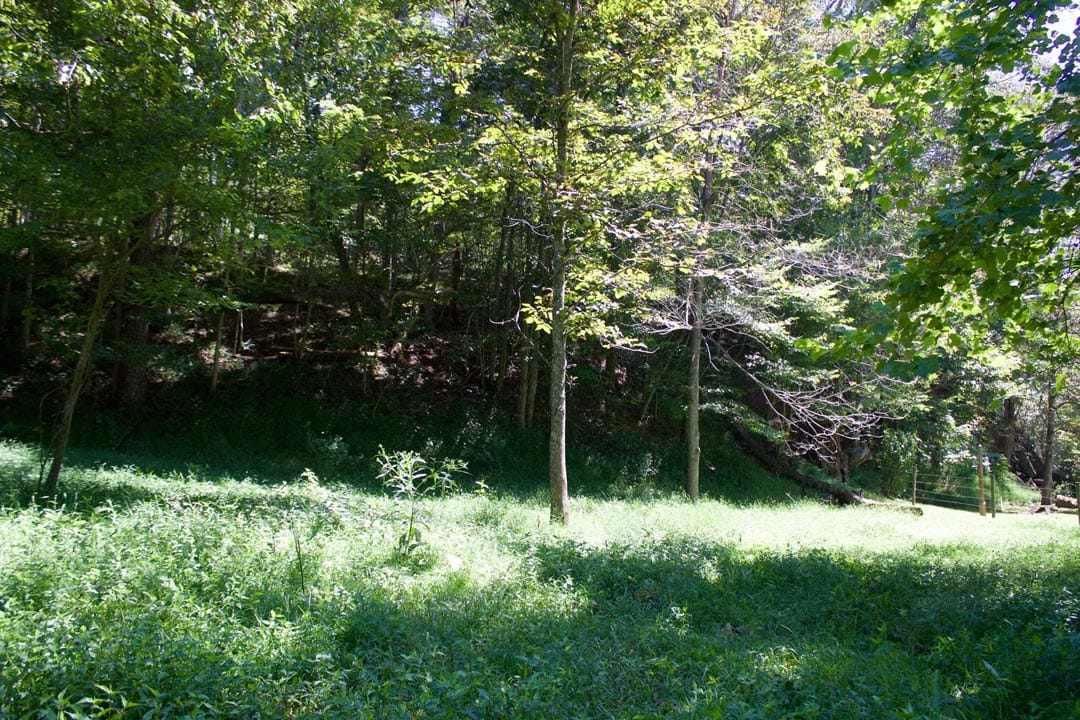 Heritage Hollow Tract 32 photo 13