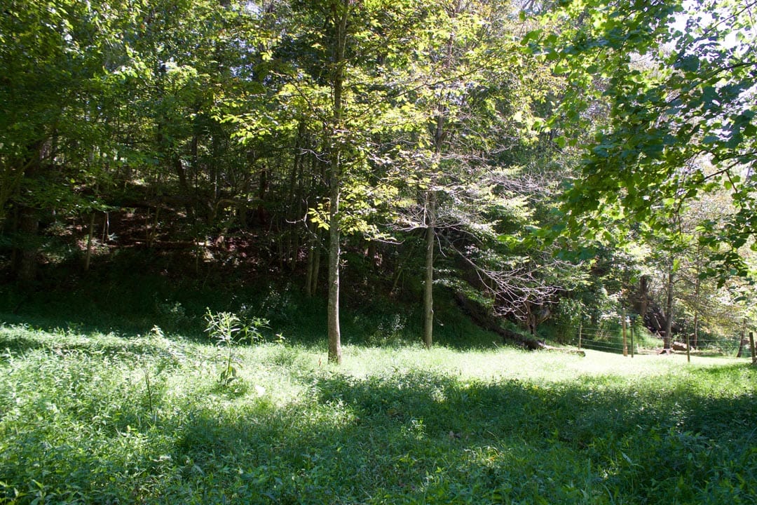 Heritage Hollow Tract 32 photo 14