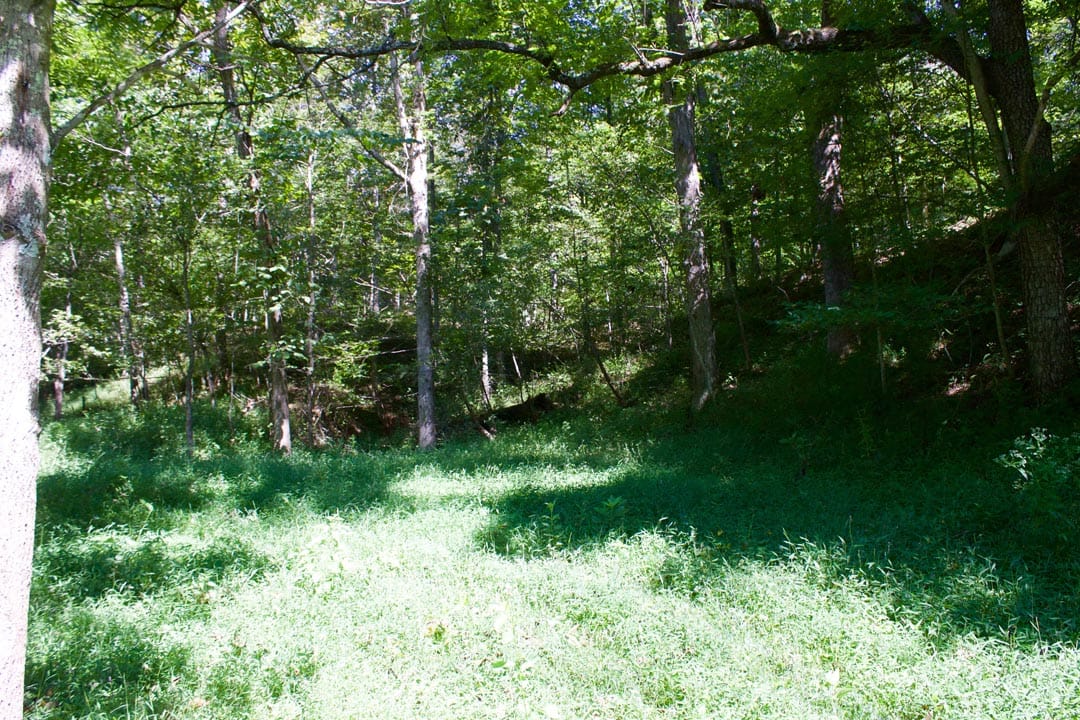Heritage Hollow Tract 32 photo 15