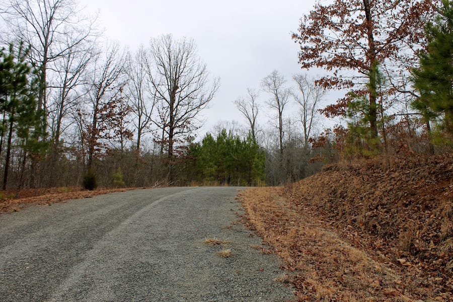 The Tennessean Tract 17 photo 1