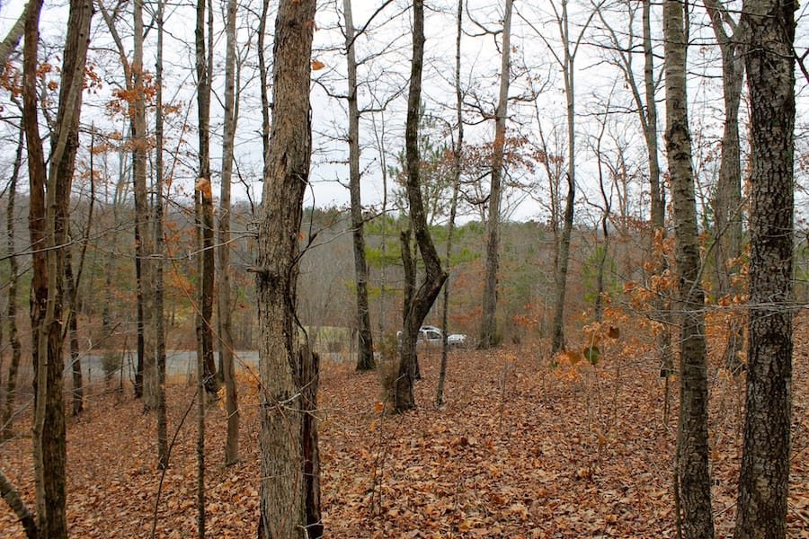 The Tennessean Tract 17 photo 9
