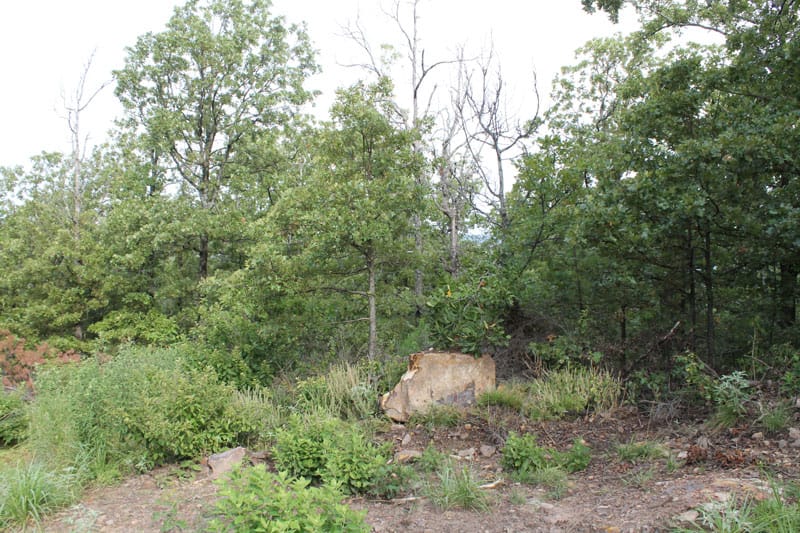 Trophy Ridge Phase III Tract 28 photo 2