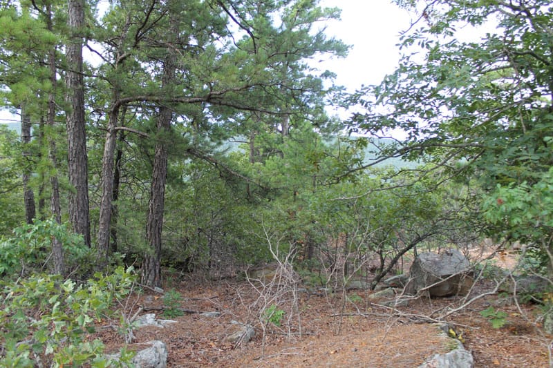 Trophy Ridge Phase III Tract 28 photo 9
