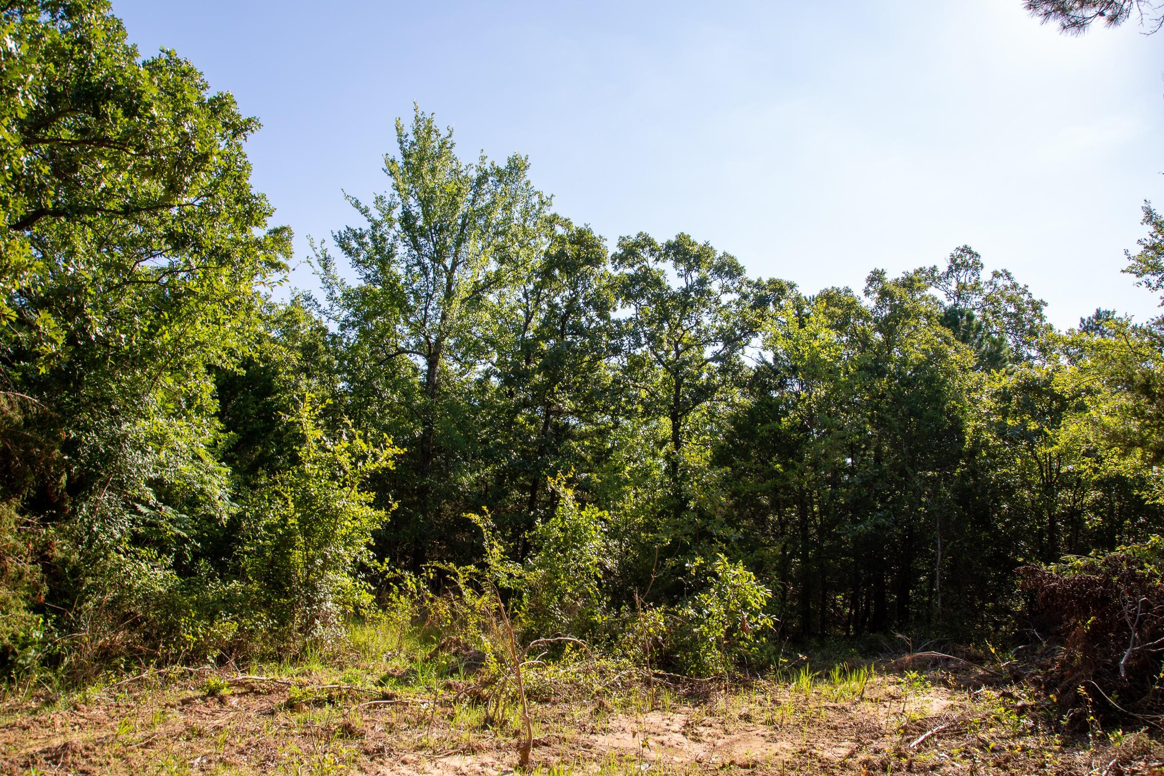 Tyler Stone Ranch Tract 48 photo 2