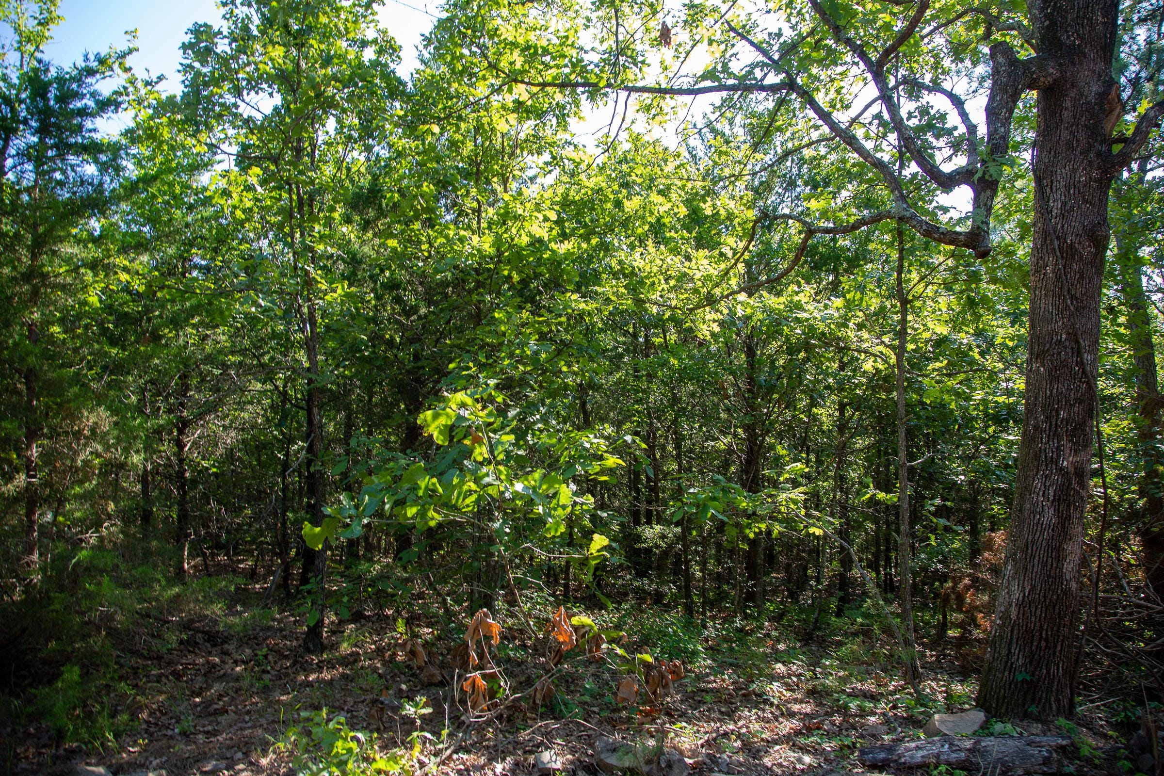 Tyler Stone Ranch Tract 48 photo 4