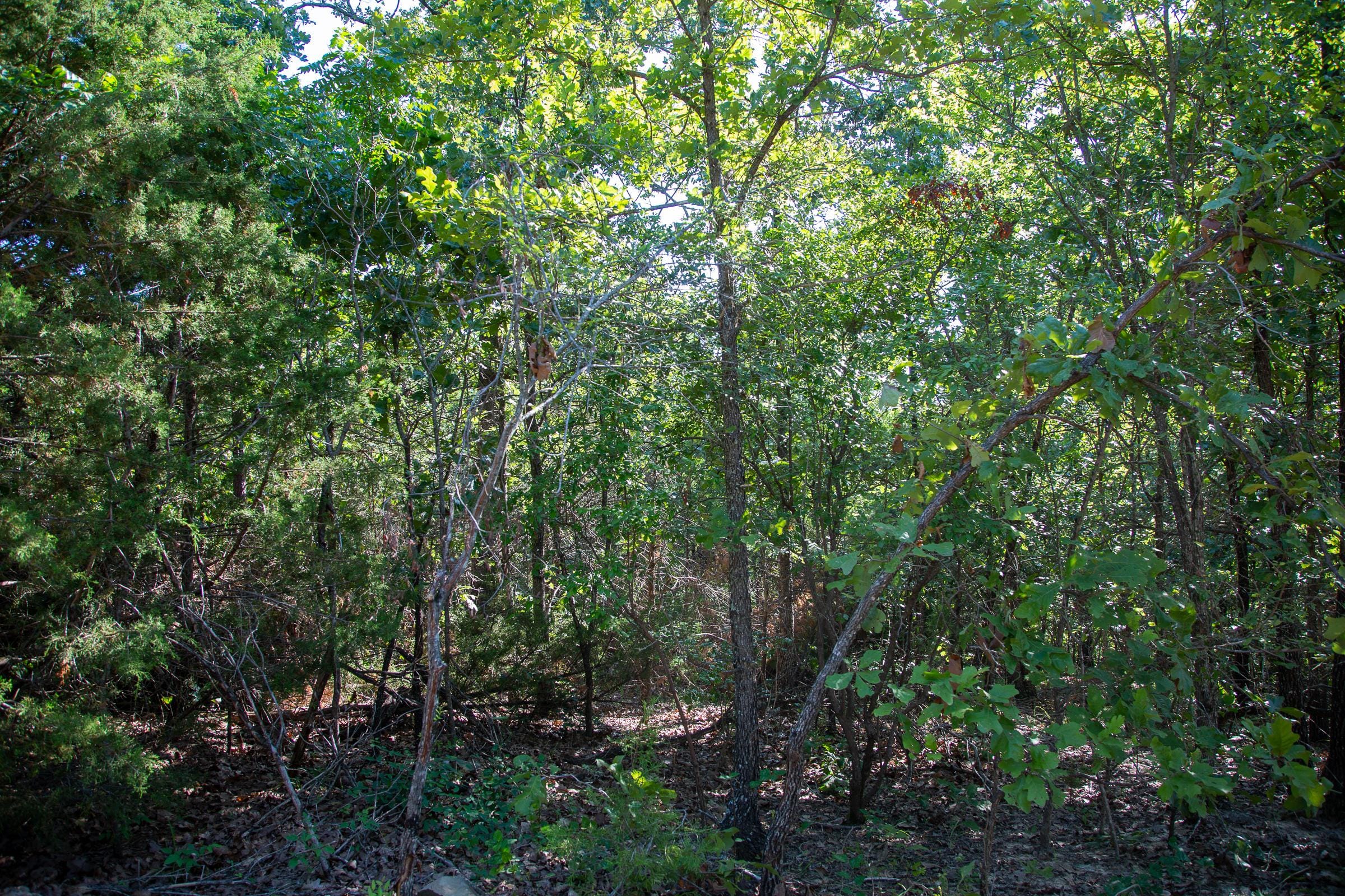 Tyler Stone Ranch Tract 48 photo 5