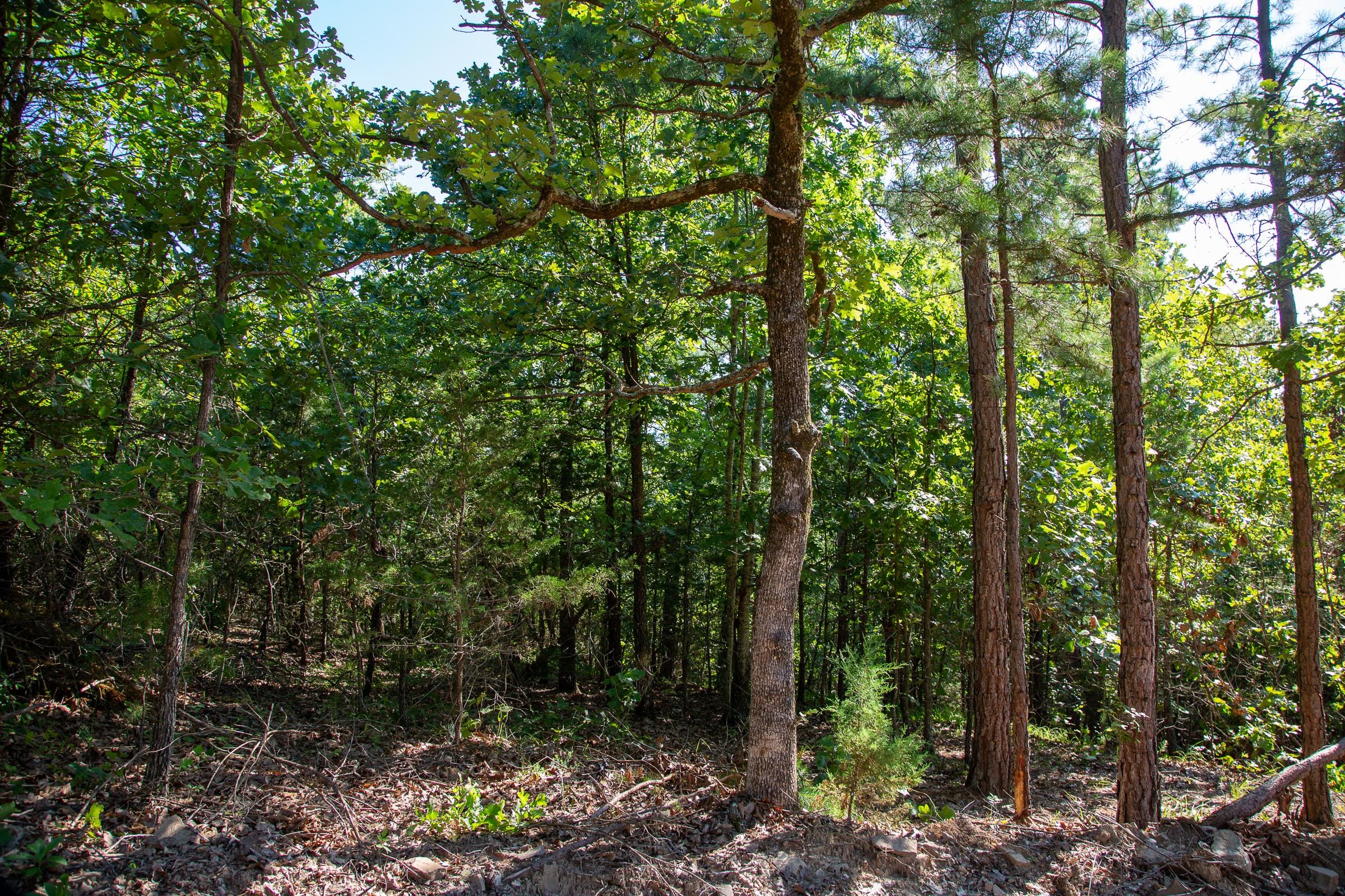 Tyler Stone Ranch Tract 48 photo 1