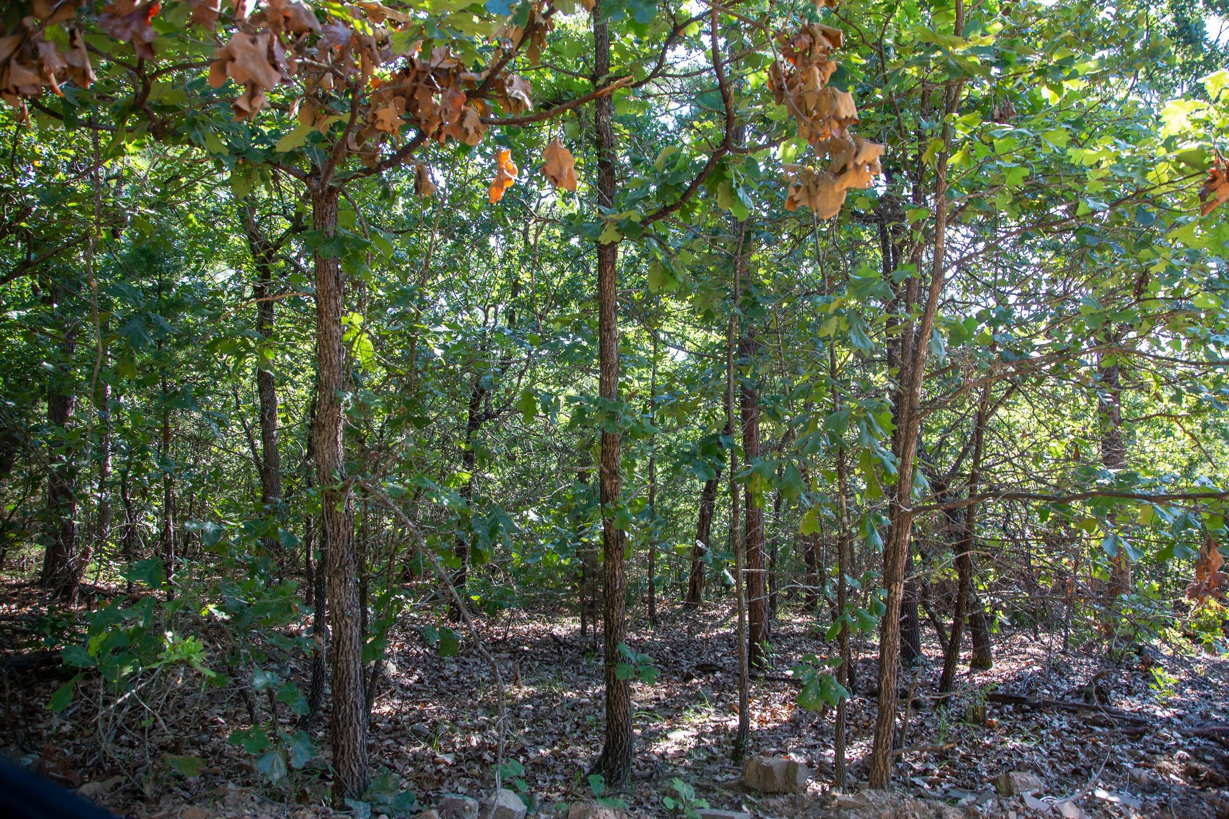 Tyler Stone Ranch Tract 48 photo 7