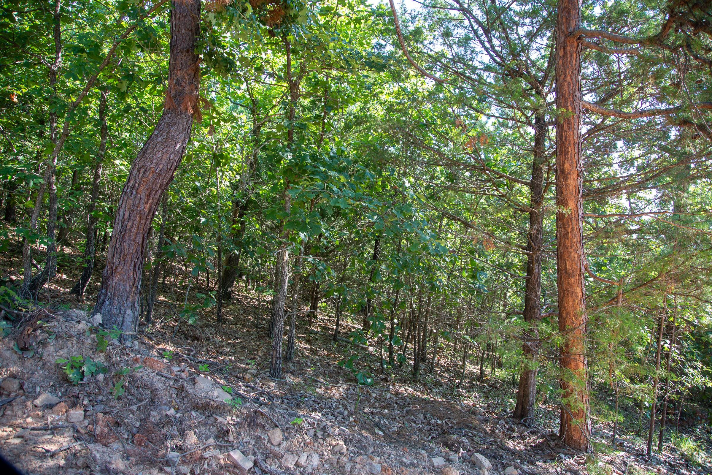 Tyler Stone Ranch Tract 48 photo 8