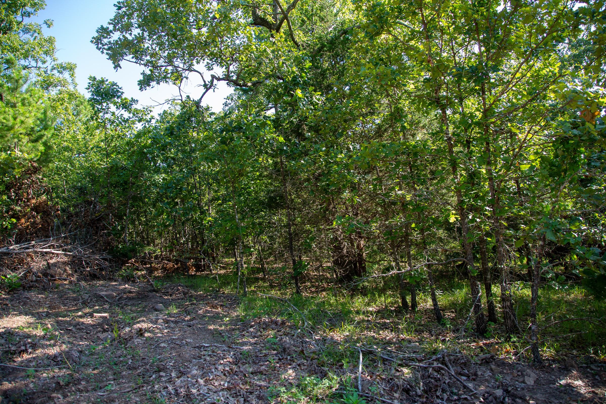 Tyler Stone Ranch Tract 48 photo 9