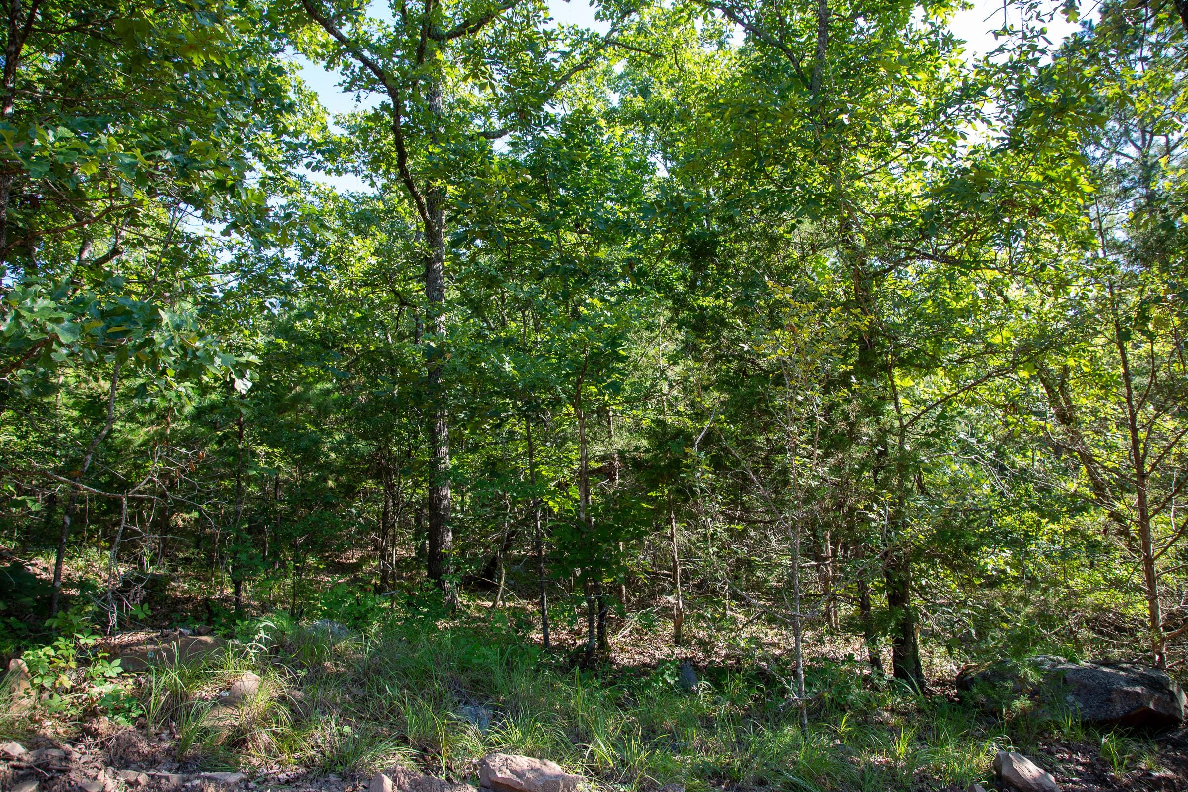 Tyler Stone Ranch Tract 48 photo 10