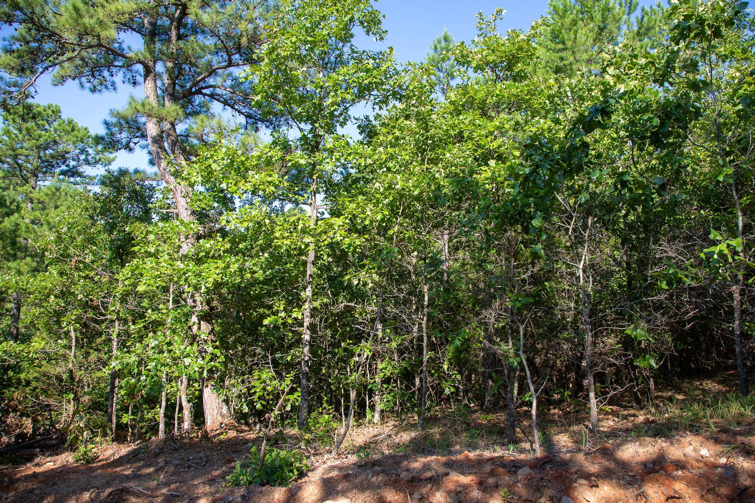 Tyler Stone Ranch Tract 48 photo 13