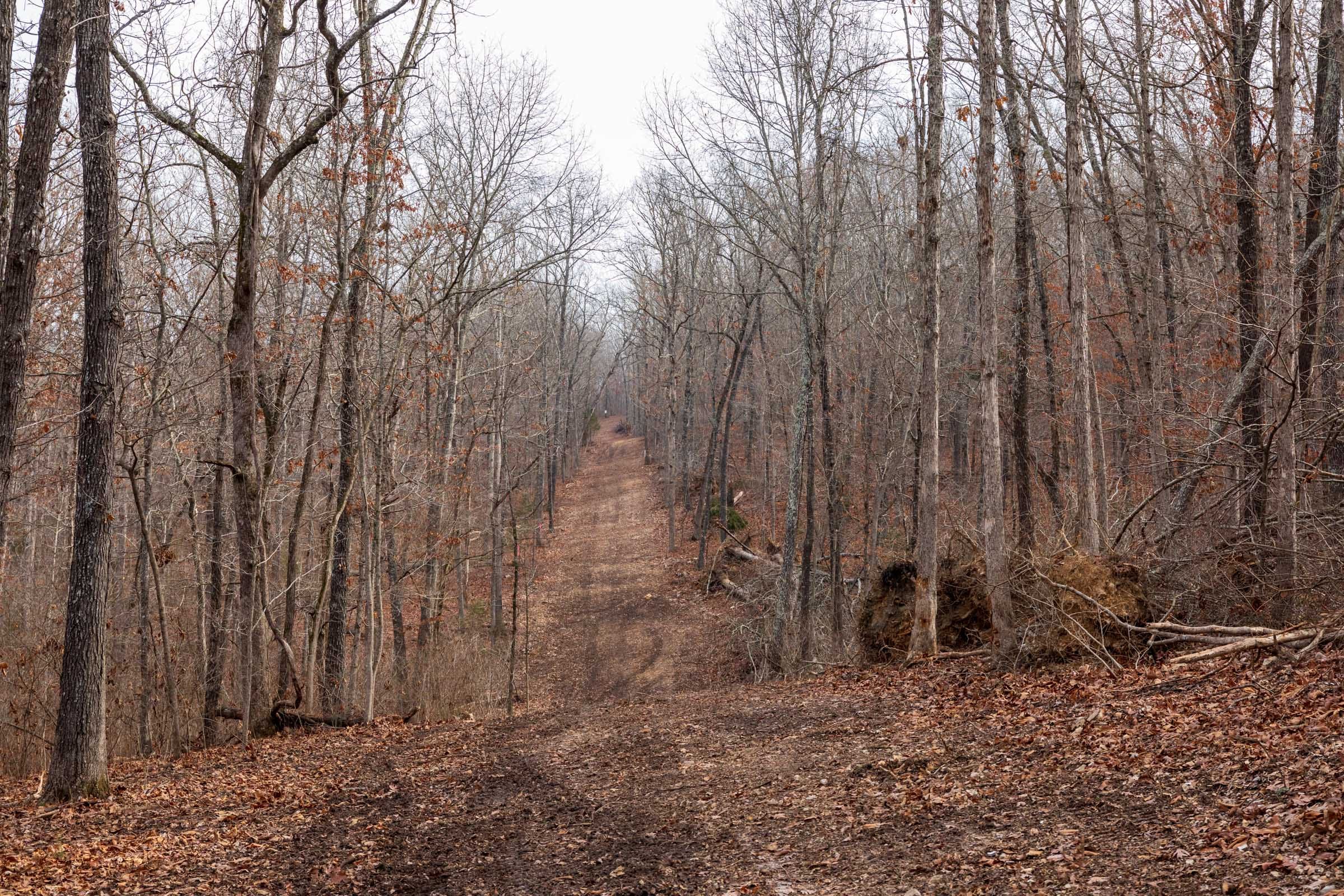 Crossroads Tract 29 photo 1