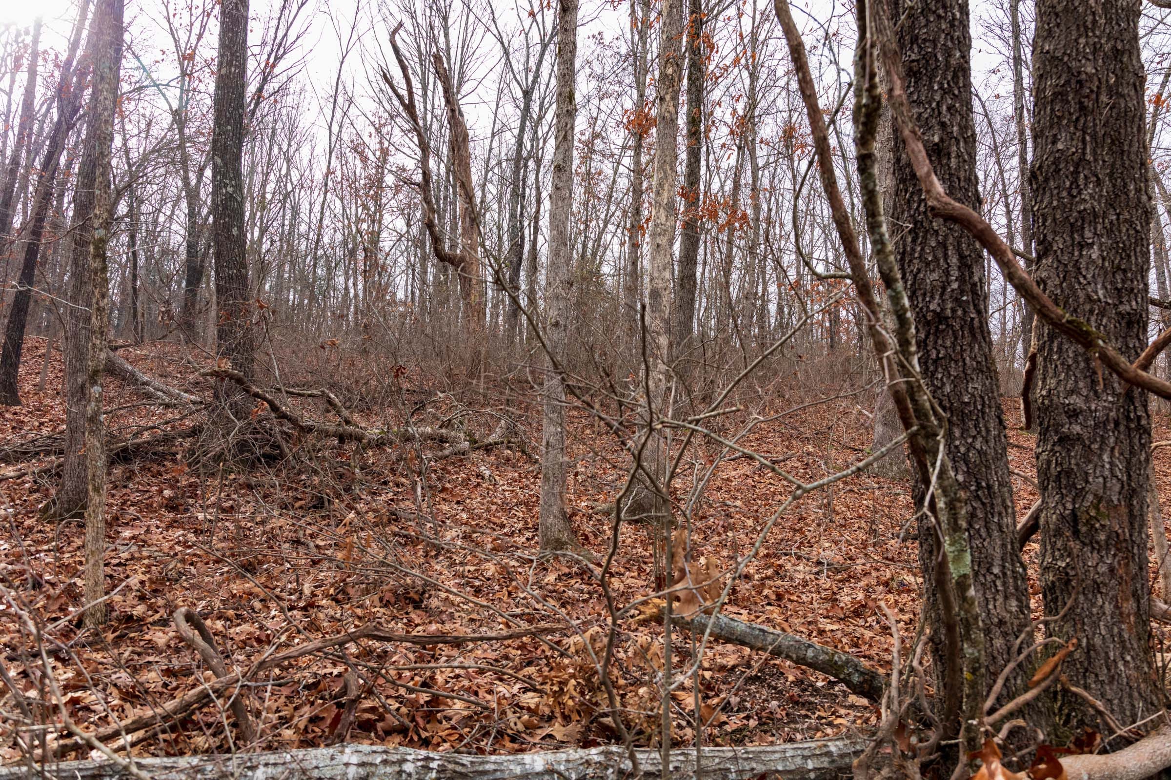 Crossroads Tract 29 photo 2