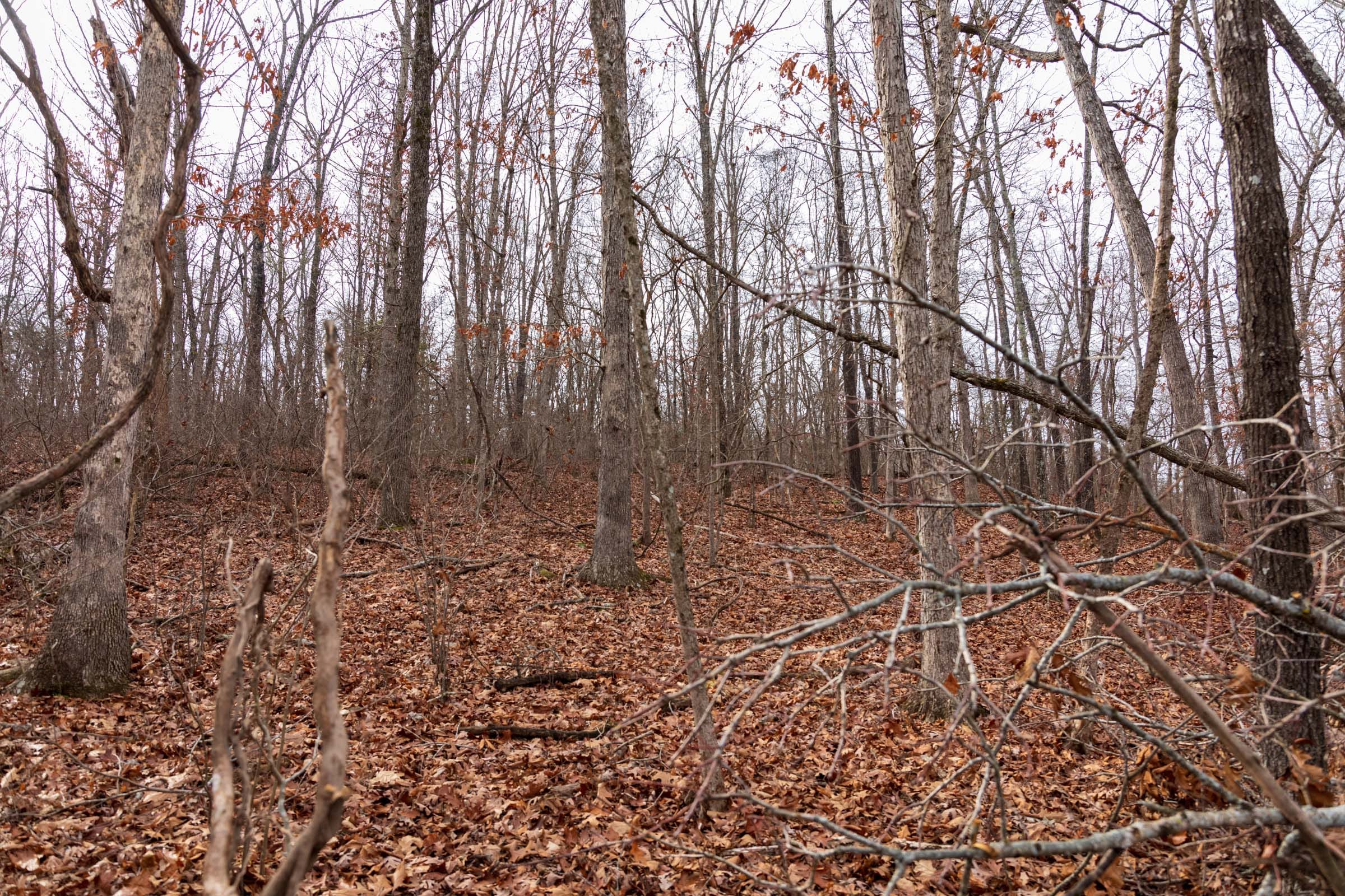 Crossroads Tract 29 photo 3