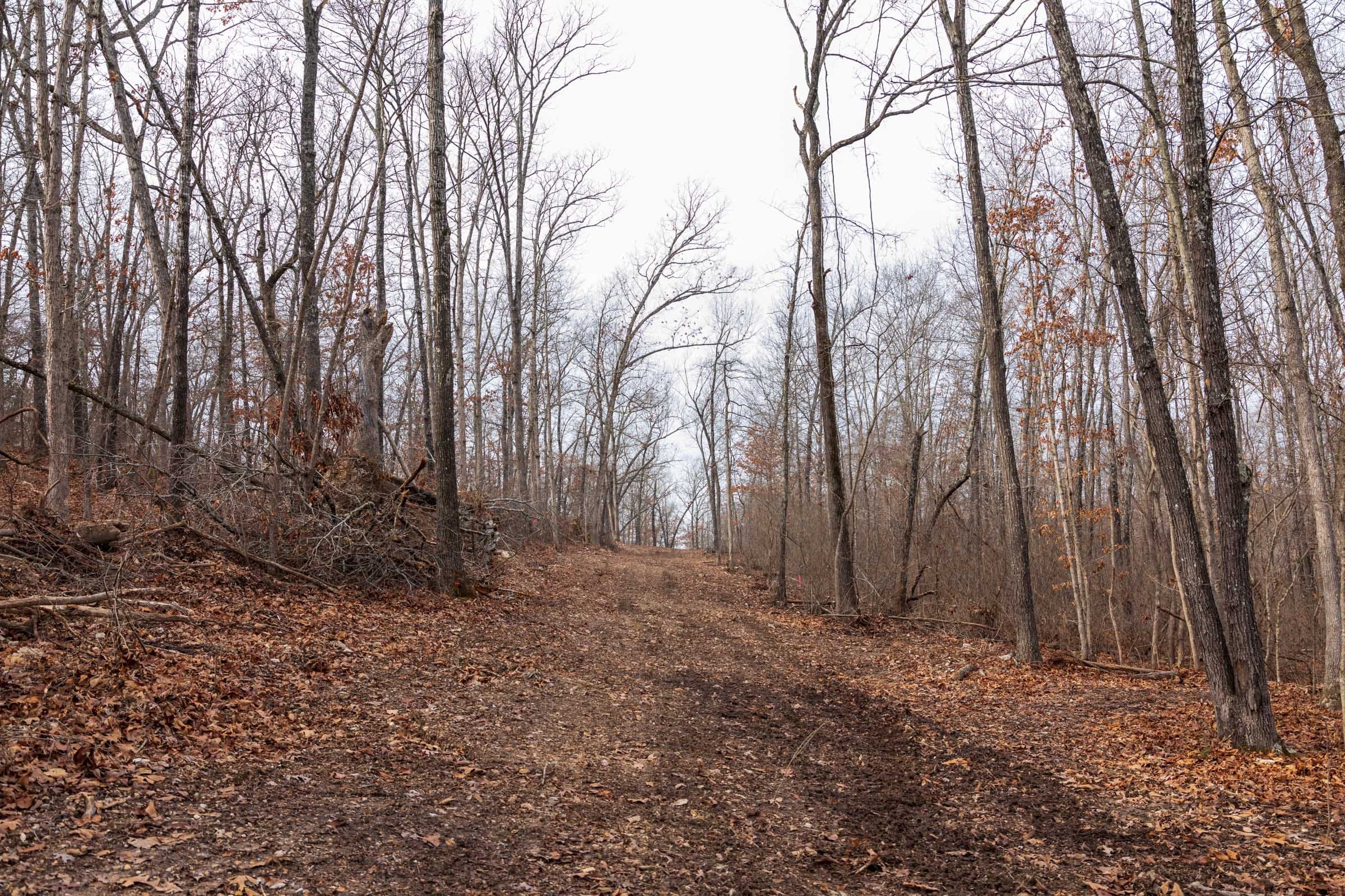 Crossroads Tract 29 photo 4