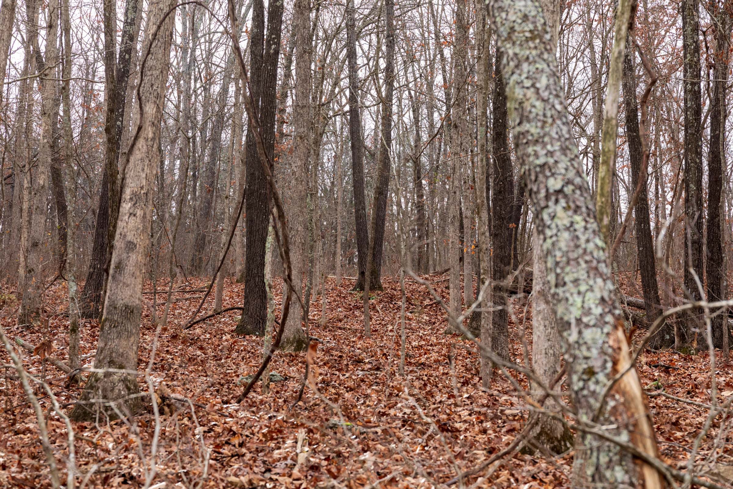 Crossroads Tract 29 photo 5