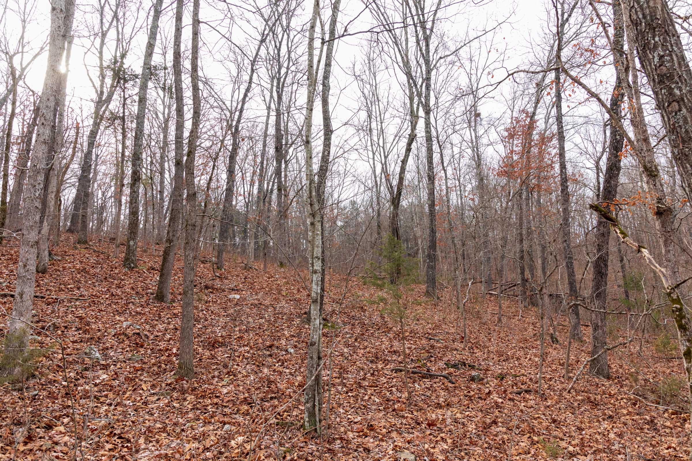 Crossroads Tract 29 photo 6