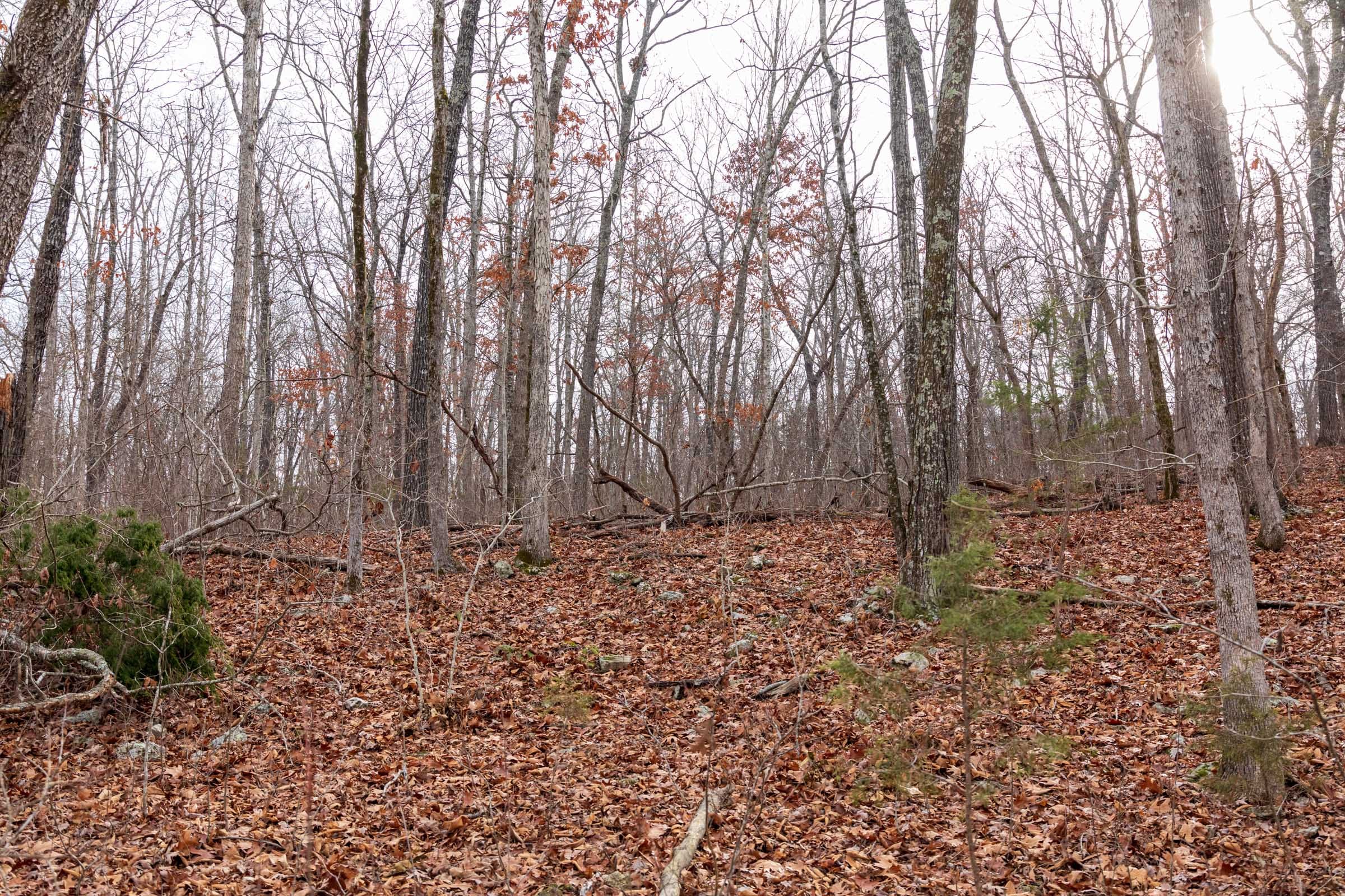 Crossroads Tract 29 photo 7