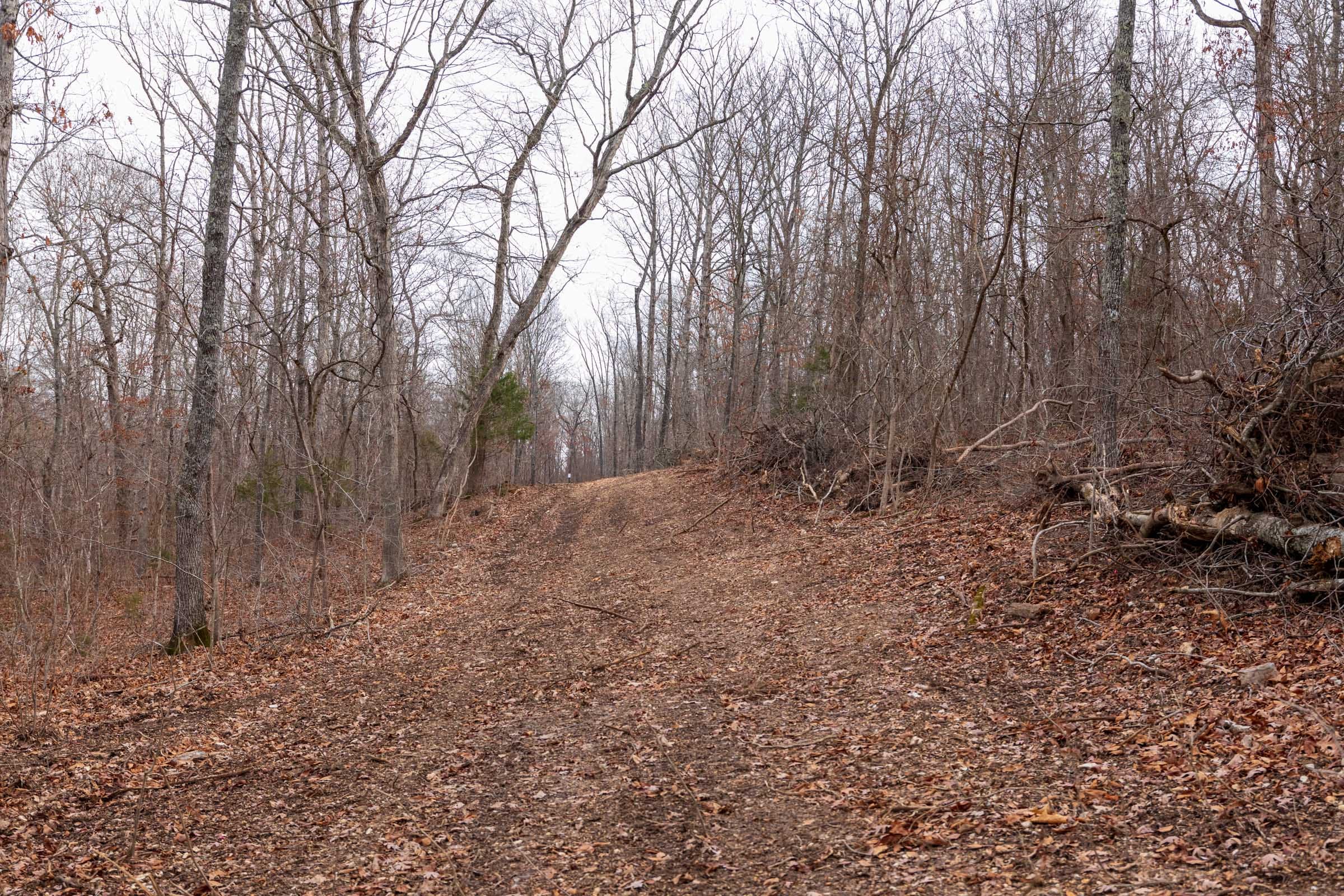 Crossroads Tract 29 photo 8