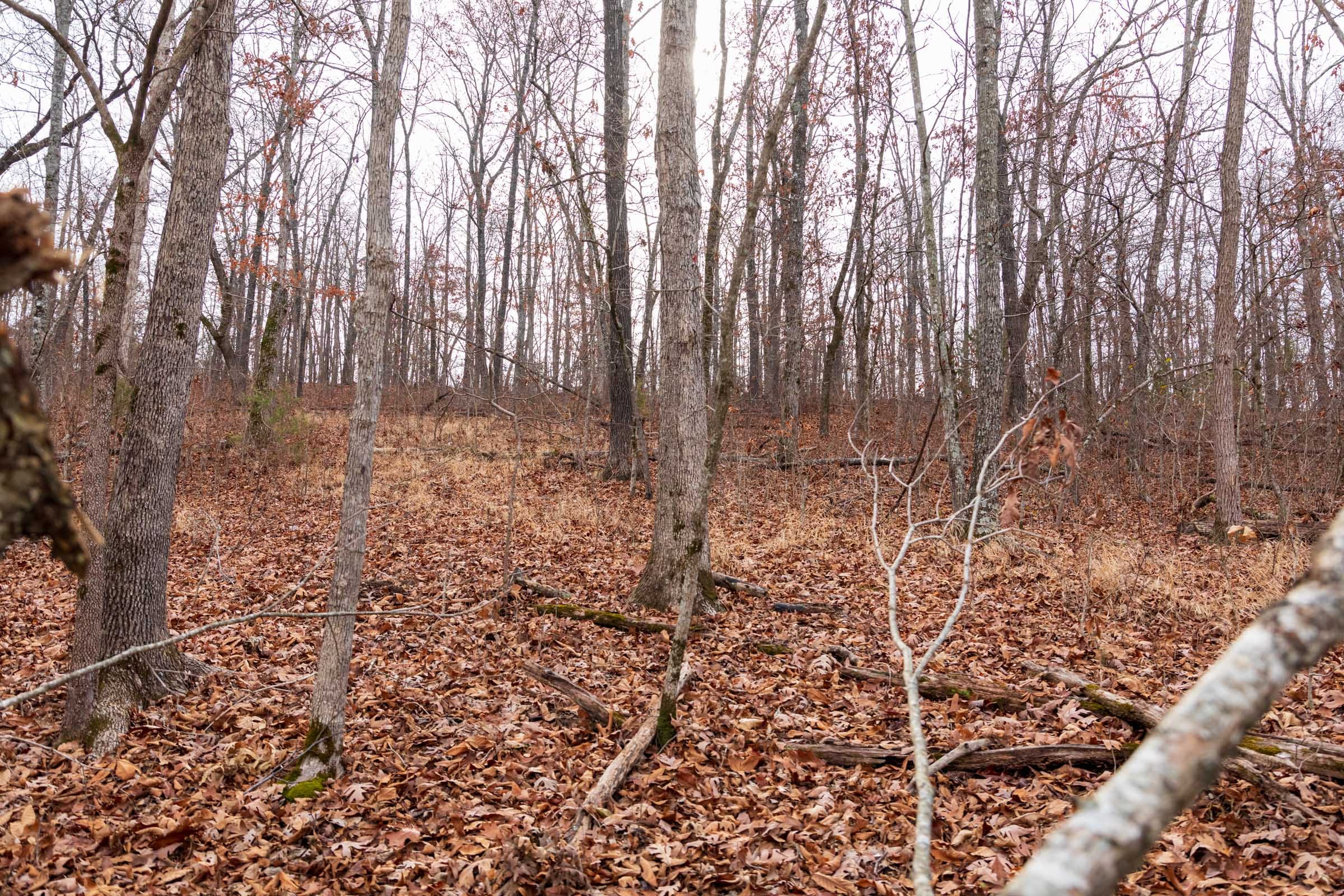 Crossroads Tract 29 photo 10