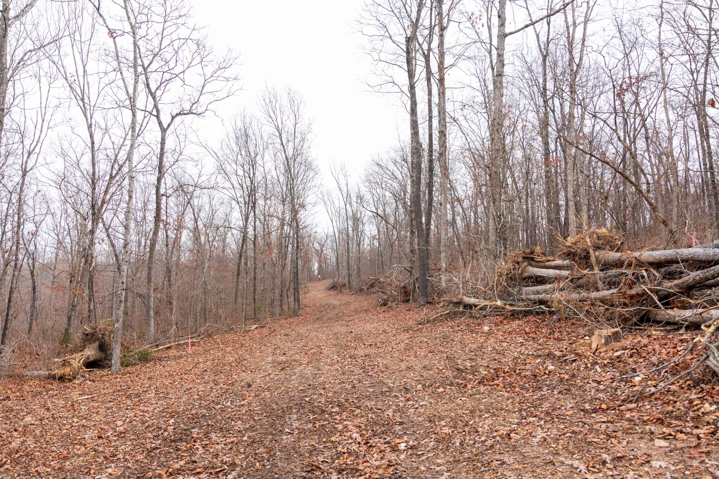 Crossroads Tract 29 photo 11